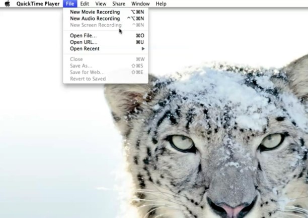 screen recorders for mac - quicktime